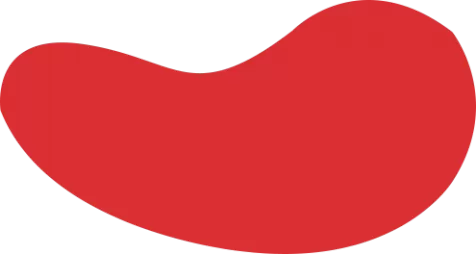 新利体育网站官网首页-新利18世界杯